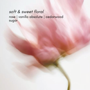 Blurred pink flower with text overlay on a light background for rose crush fragrance